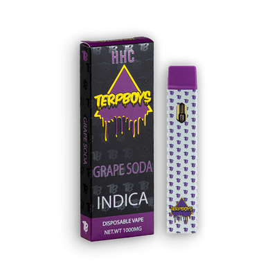 TerpBoys Indica HHC Disposable Vapes 1000mg Best Sales Price - Vape Pens