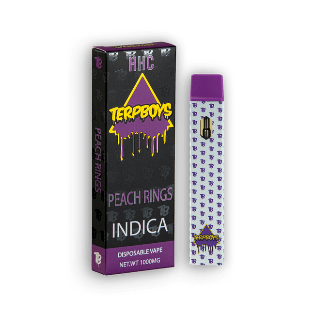 TerpBoys Indica HHC Disposable Vapes 1000mg Best Sales Price - Vape Pens