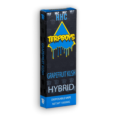 TerpBoys Hybrid HHC Disposable Vapes 1000mg Best Sales Price - Vape Pens