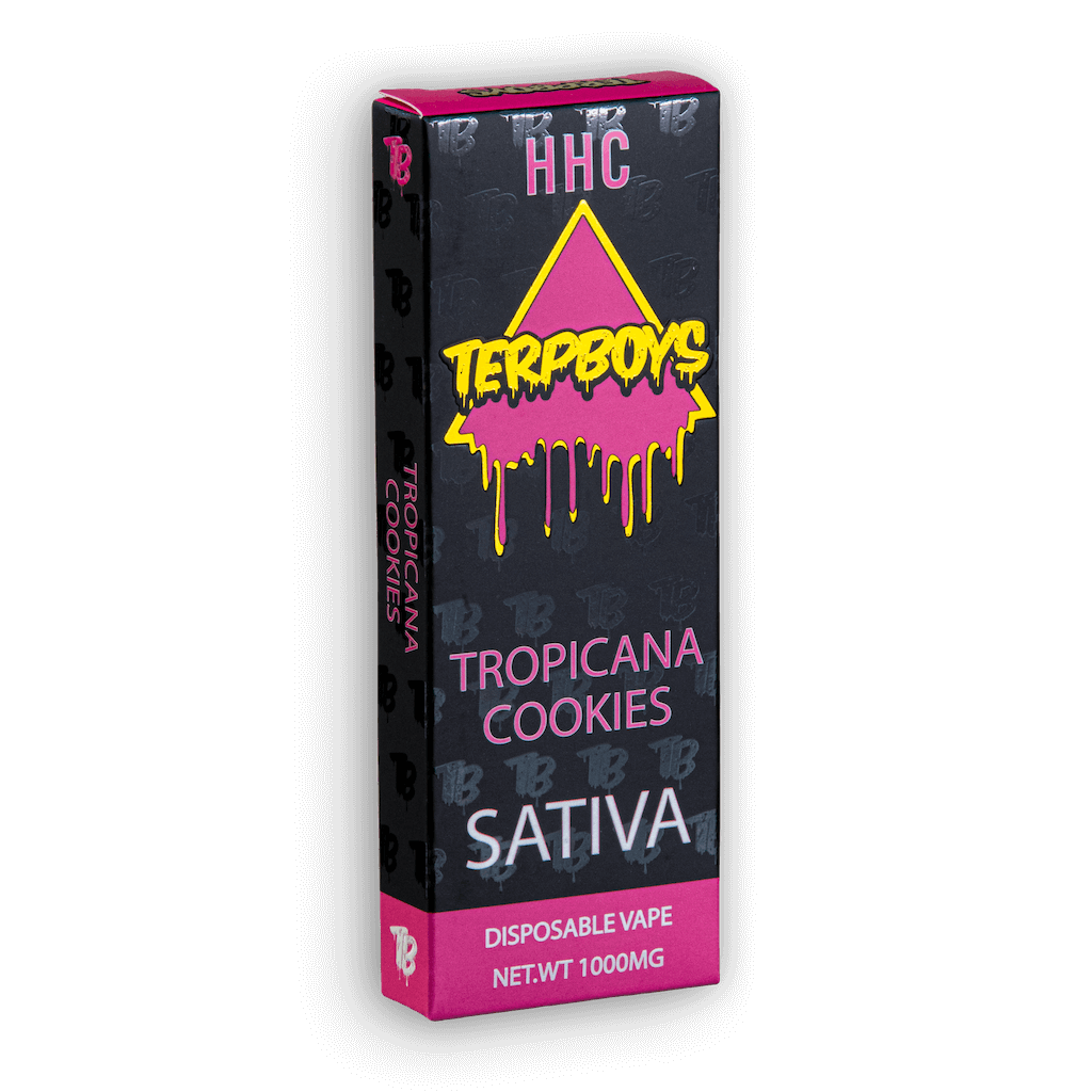 TerpBoys Sativa HHC Disposable Vapes 1000mg Best Sales Price - Vape Pens