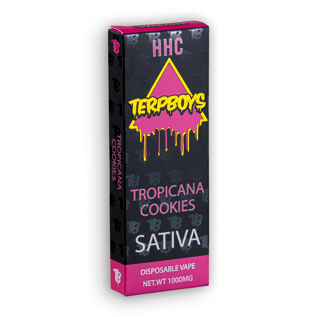 TerpBoys Sativa HHC Disposable Vapes 1000mg Best Sales Price - Vape Pens