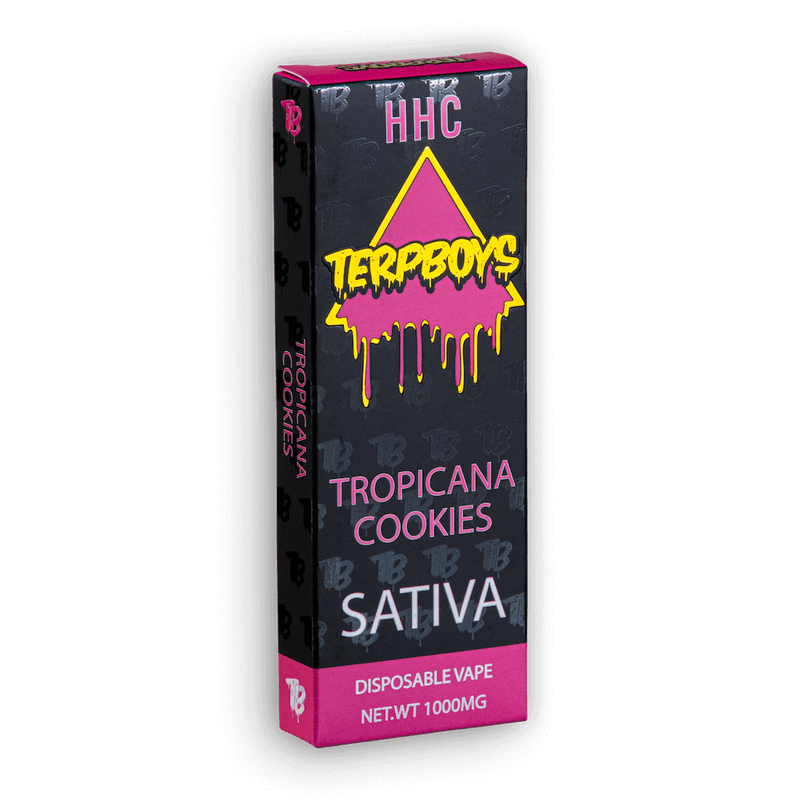 TerpBoys Sativa HHC Disposable Vapes 1000mg Best Sales Price - Vape Pens