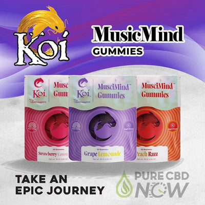 Koi MusciMind Gummies – 10 Gummies Per Bag Best Sales Price - Gummies