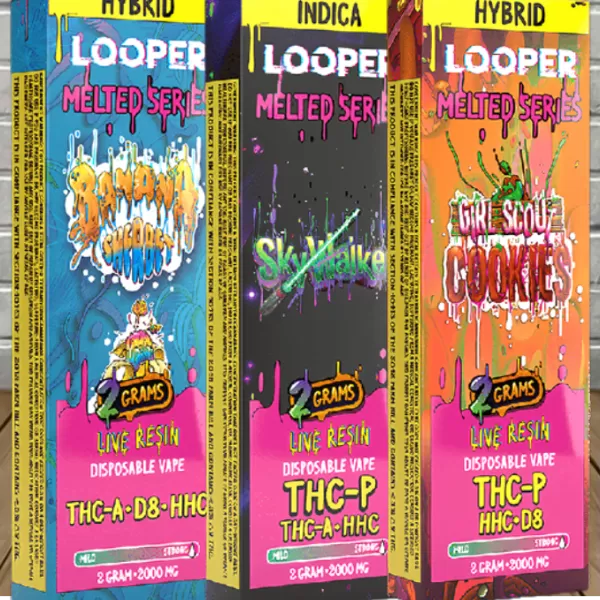 Looper Melted Series Blend Disposable 2g – TenVape