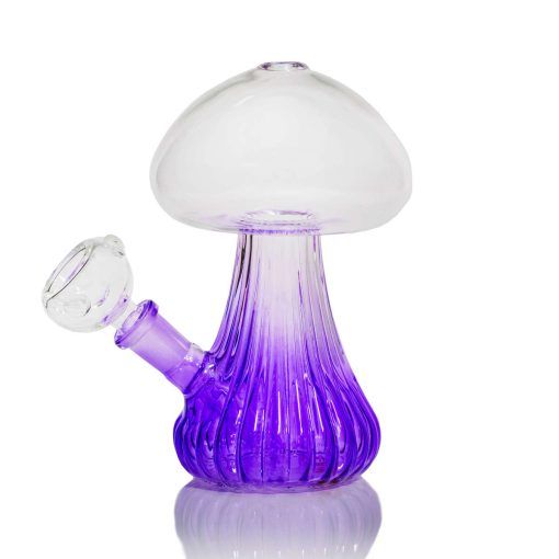 Cannabox Mushroom Bong Best Sales Price - Bongs