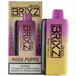 Brixz Bar 9000 Puff Disposable Vape Best Sales Price - Disposables