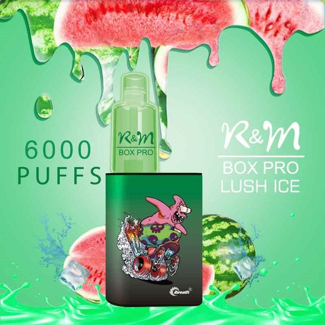 R and M Box Pro Disposable Vape Kit 6000 Puffs 10ml Lush Ice Best Sales Price - Disposables