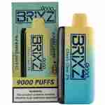 Brixz Bar 9000 Puff Disposable Vape Best Sales Price - Disposables