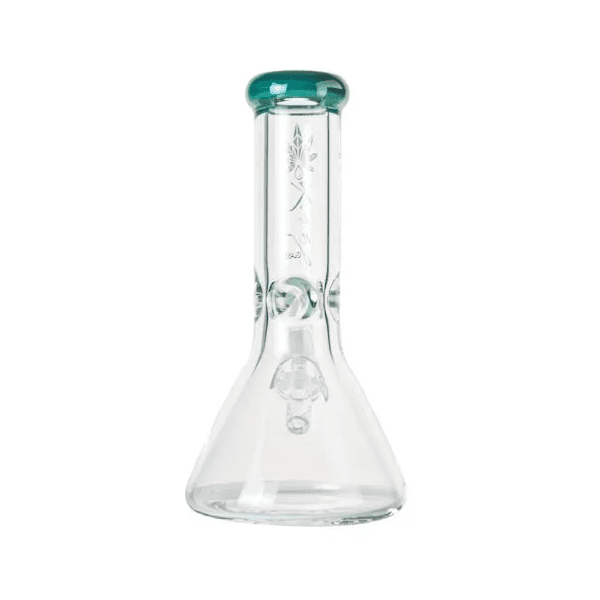 The Kind Pen Straight Neck Beaker Bong Best Sales Price - Bongs