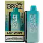 Brixz Bar 9000 Puff Disposable Vape Best Sales Price - Disposables