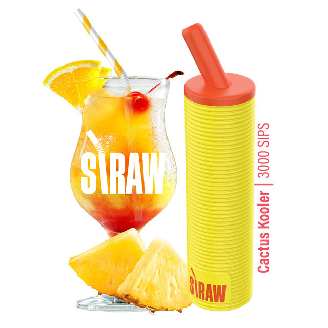 Straw Disposable 3000 Puffs Best Sales Price - Disposables