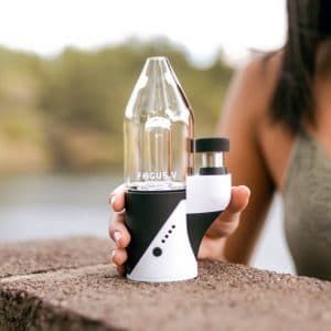 Cannabox Focus V Carta V2 Best Sales Price - Merch & Accesories