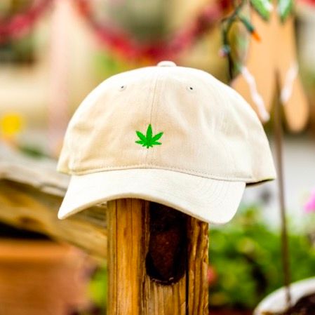 Cannabox Weed Leaf Hat Best Sales Price - Merch & Accesories