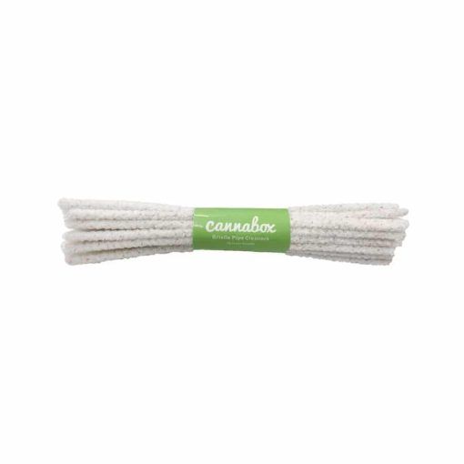 Cannabox January 2020 “New Leaf” Best Sales Price - Bundles