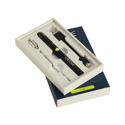 Groove Cara Pen Best Sales Price - Vaporizers