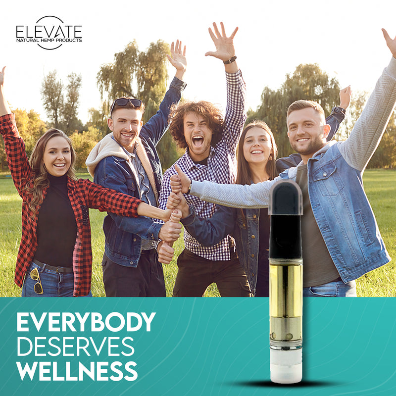 Elevate DELTA 8 THC VAPE CARTRIDGE PINEAPPLE EXPRESS Best Sales Price - Vape Cartridges