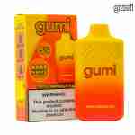 Gumi Bar 8000 Puffs 5% Disposable Vapes Best Sales Price - Disposables