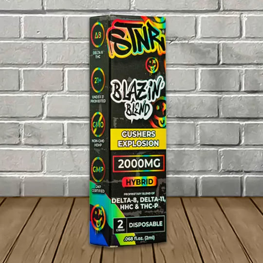 STNR Creations Blazin Blend Disposable 2g Best Sales Price - Vape Pens