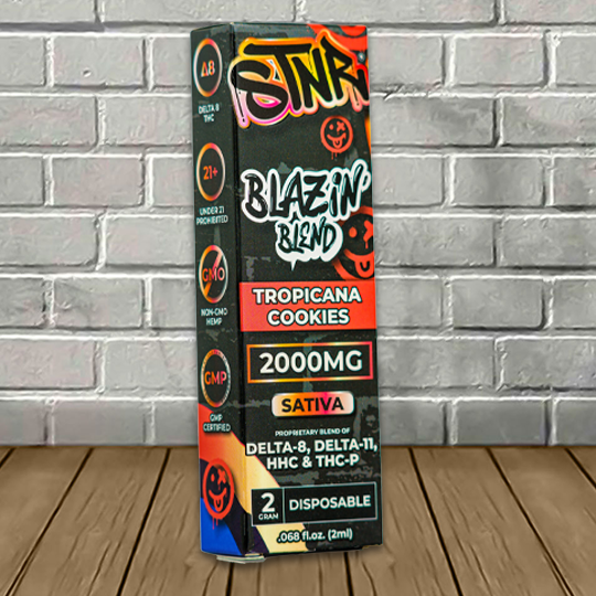 STNR Creations Blazin Blend Disposable 2g Best Sales Price - Vape Pens